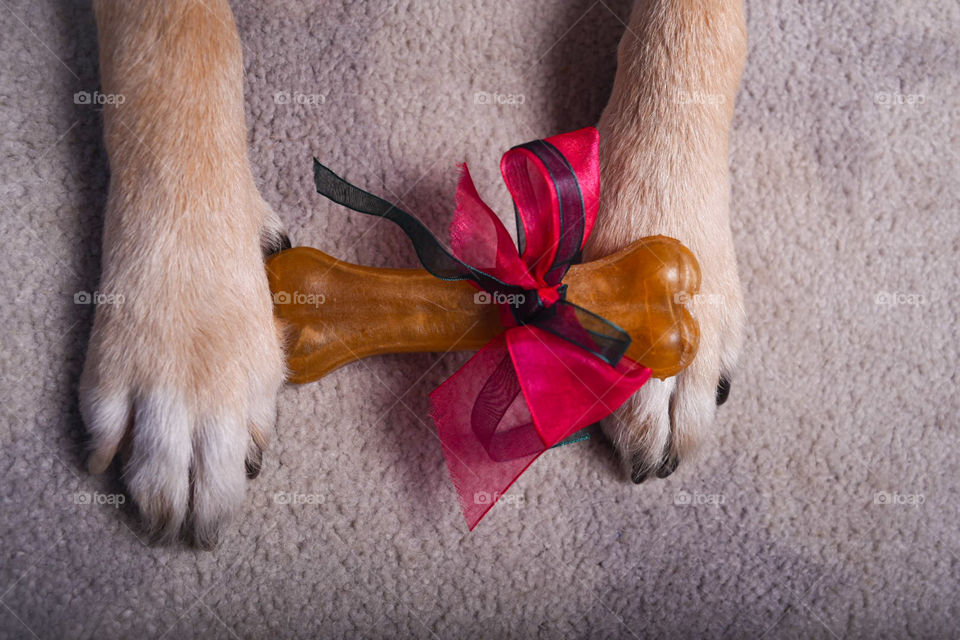 Gift bone