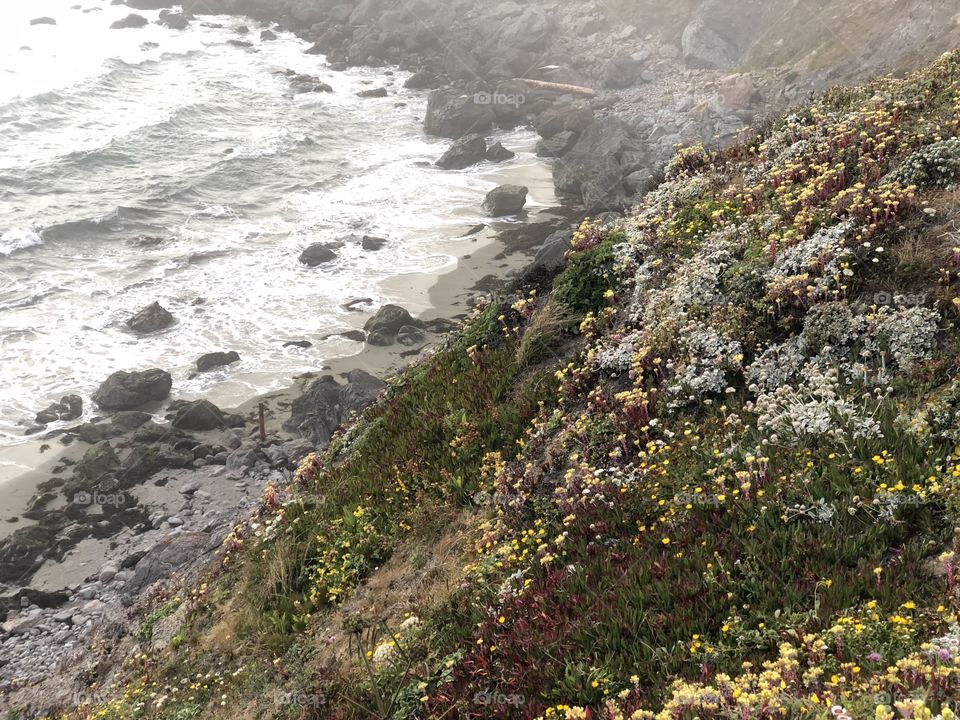 Bodega bay coast line beaches 