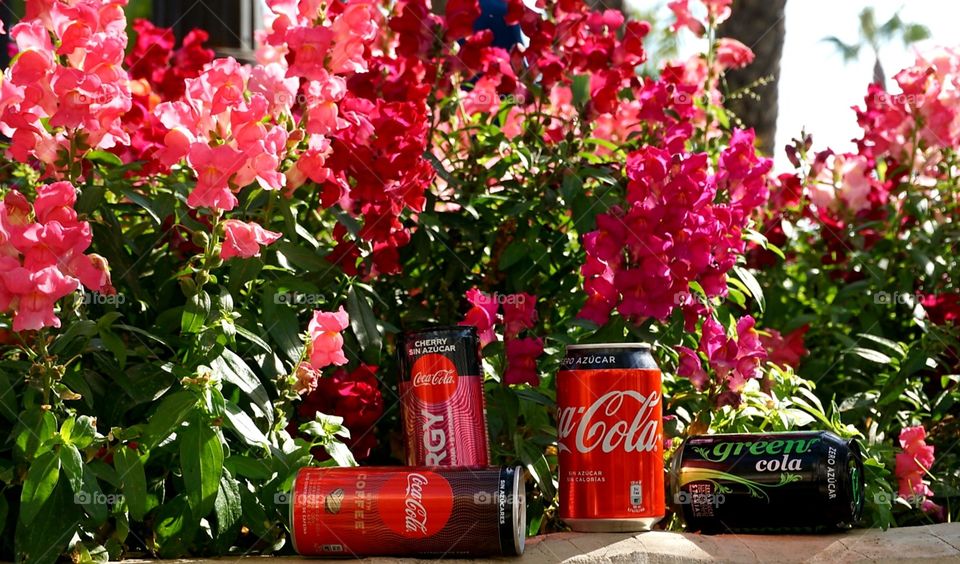 Coca-Cola#coke#flowers#nature#colors#energy