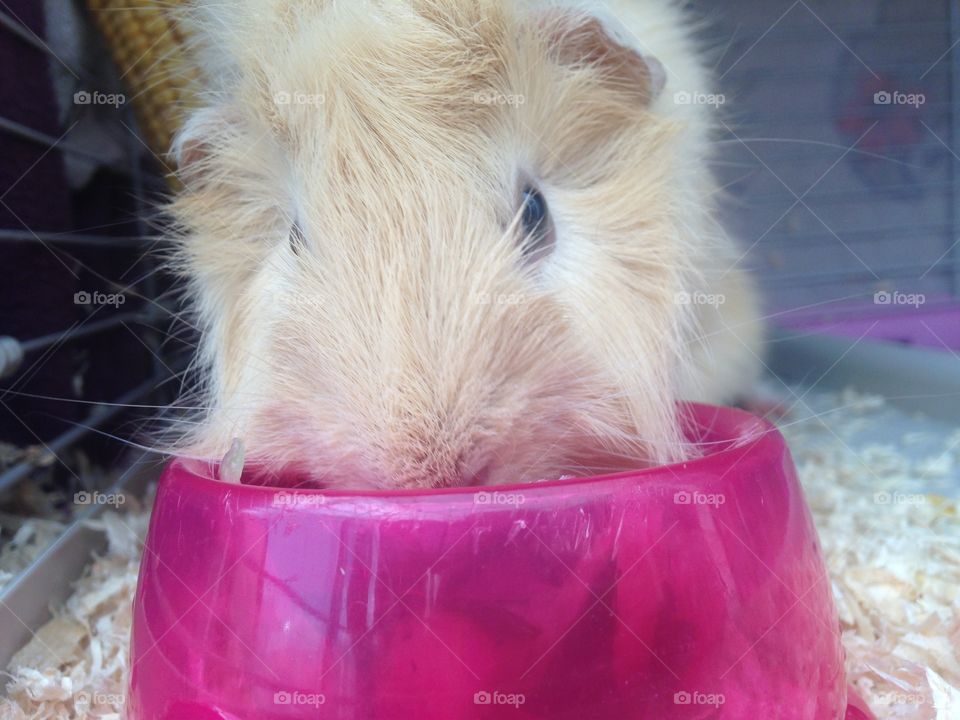 Lunch Time🍴❤️