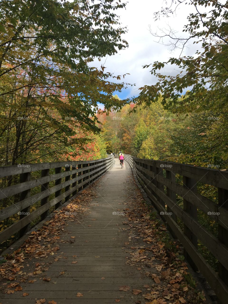 Bridge bike trail in the Fall