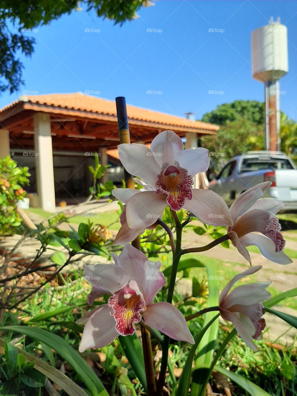 Momentos de paz e contemplação... mergulhada nesta imensidão azul do céu.