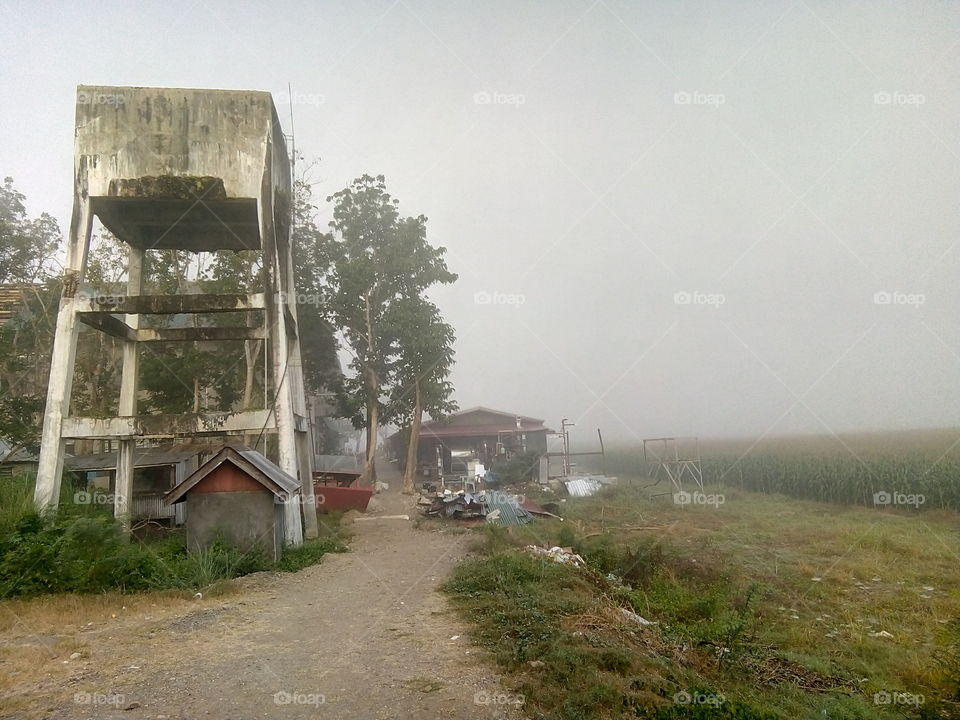 A view of a mossy old watertank and little shed from a rural place university in the fog.