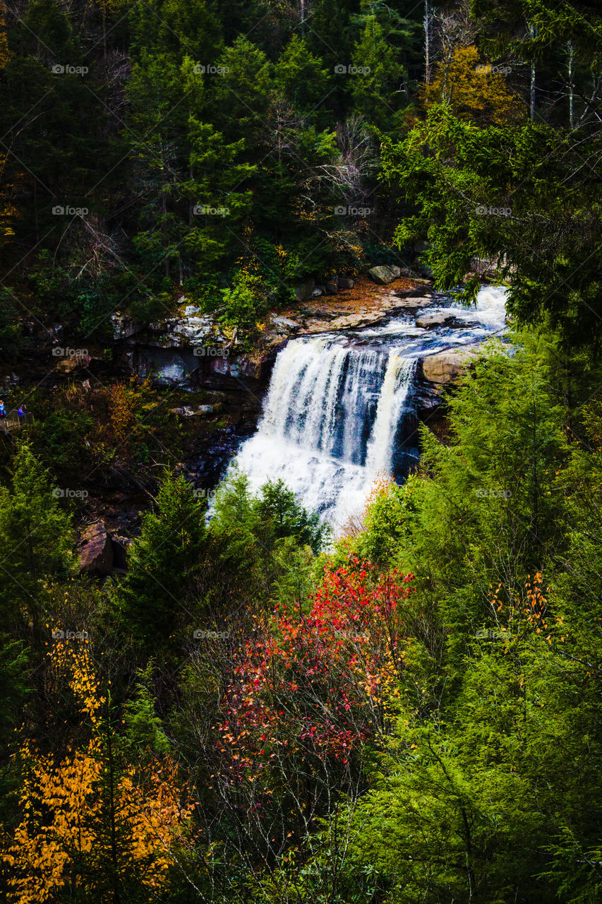 Waterfall in the beginning of Autumn.