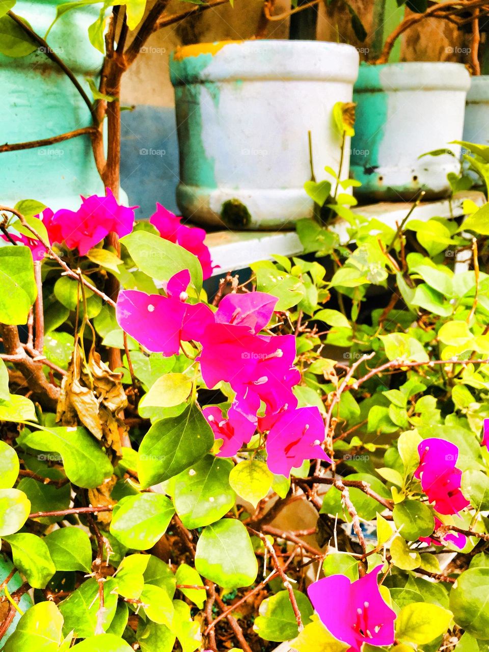 Took a photo while walking