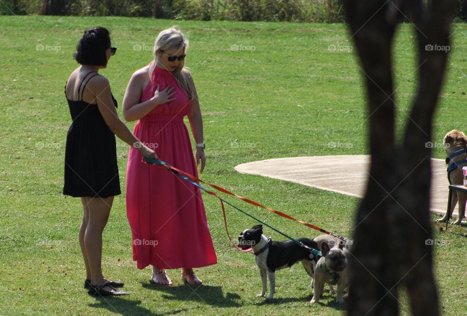 ladies walking dogs.