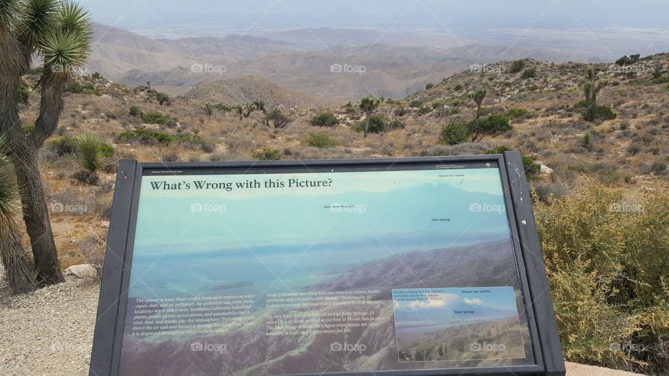some information about the beautiful valley the spot overlooks in the Joshua Tree Park