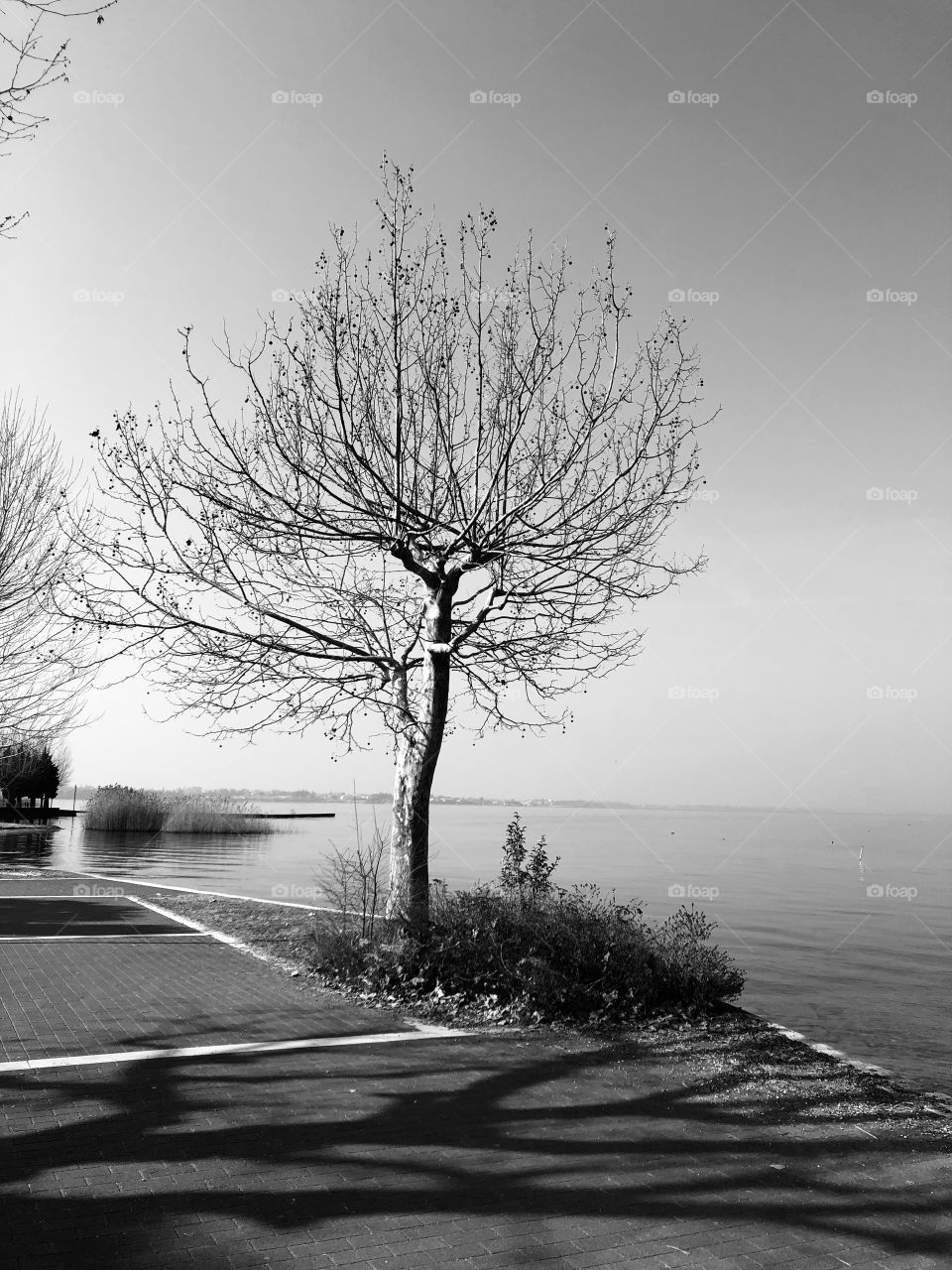 Winter in garda lake-italy