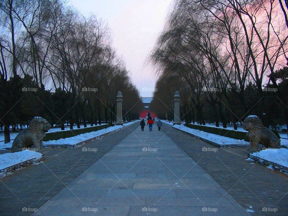 Chinese Park at Sunset