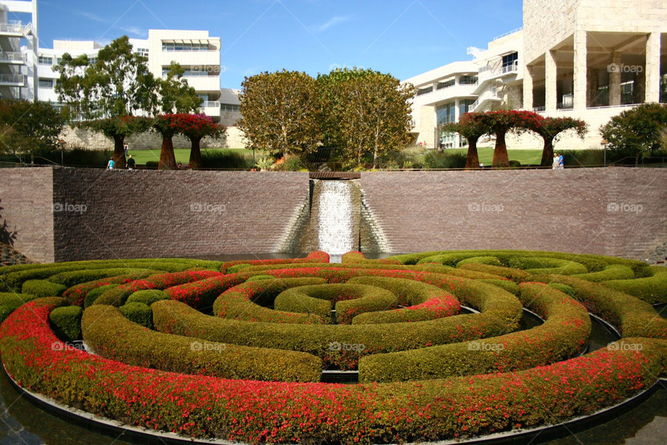 museum hedge getty thegetty by lmtrent