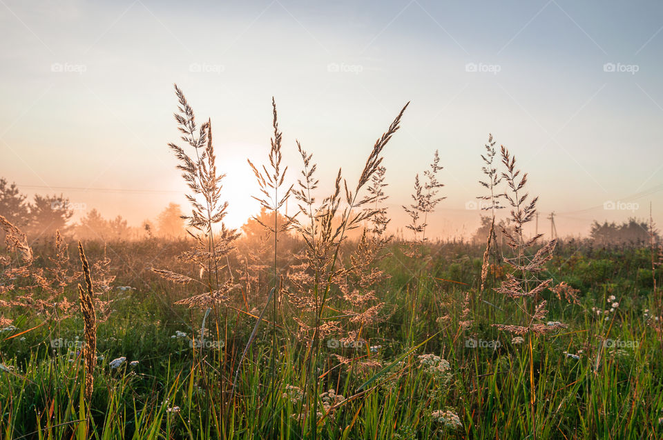 Sunrise in the village