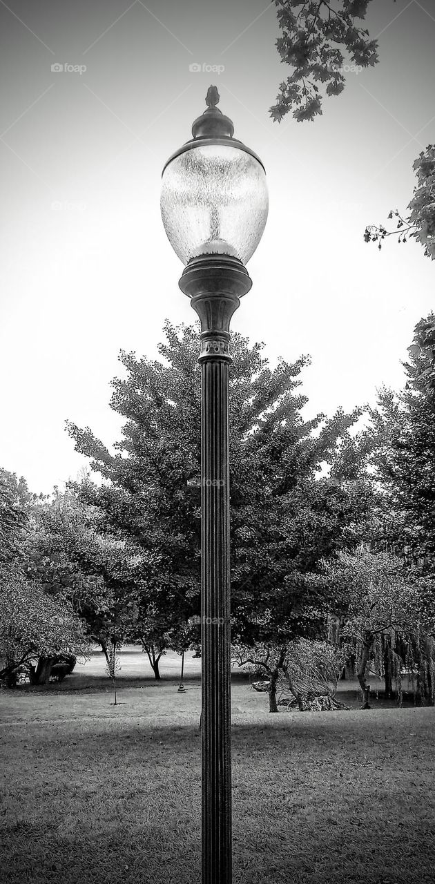 B&W of the Park Lamp Post