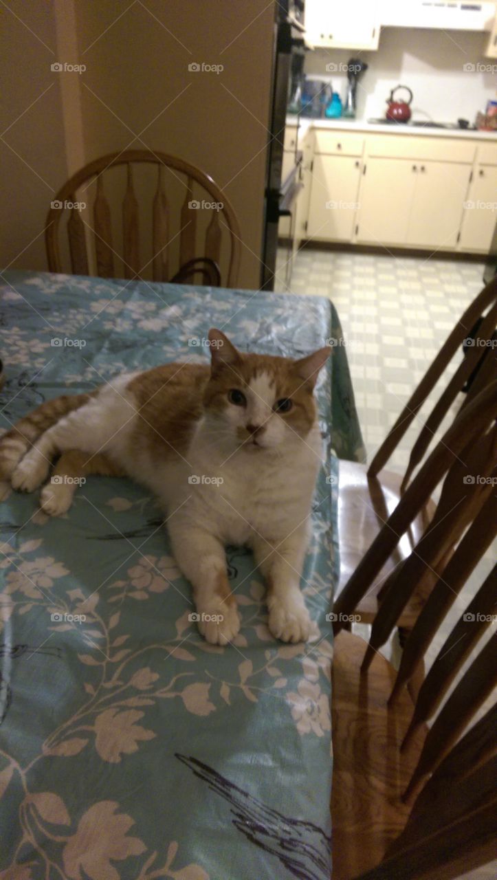 Not your table it's mine.