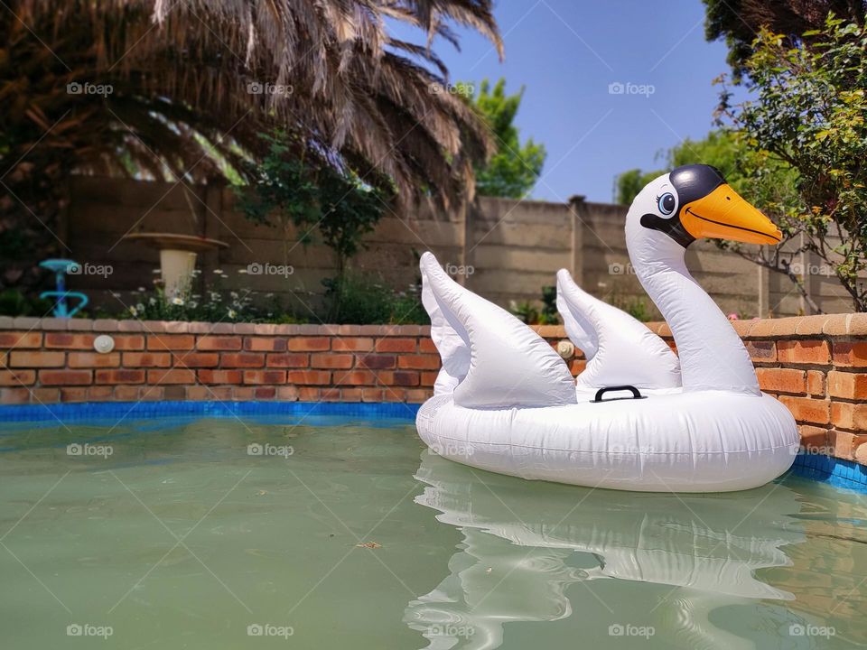 Inflatable Pool Float, Swan