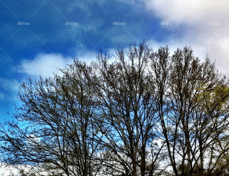 sky blue outdoors white by king