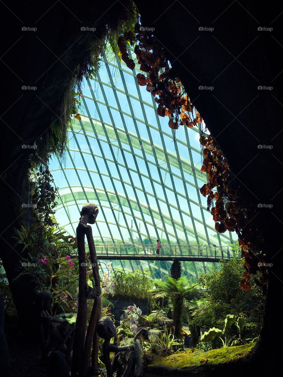Picturesque. Gardens by the bay, Singapore.