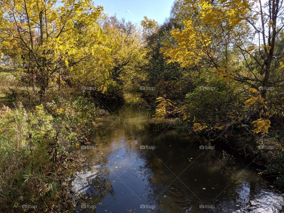 stream in the fall