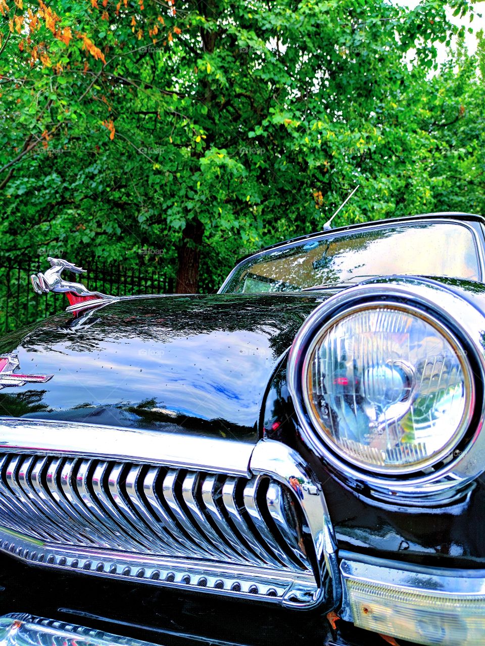 Cars of the past.  Volga "GAZ-21". 60s. Black machine of the 60s. Volga "GAZ-21". On the hood of the machine emblem in the form of a flying deer of silver color