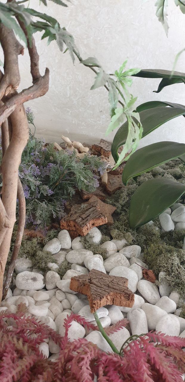 aiuola decorata