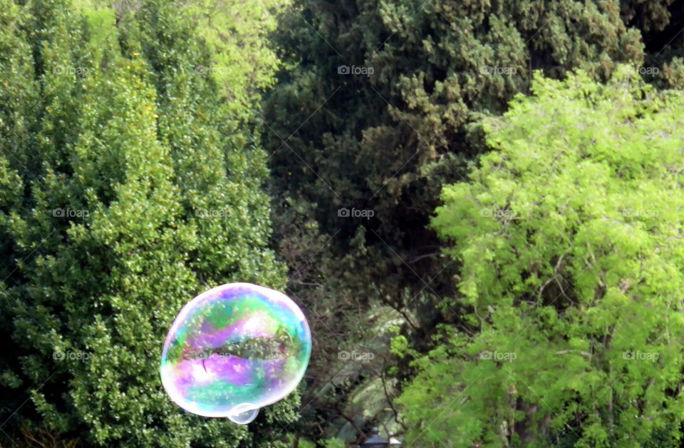 iridescent bubble in the green trees background