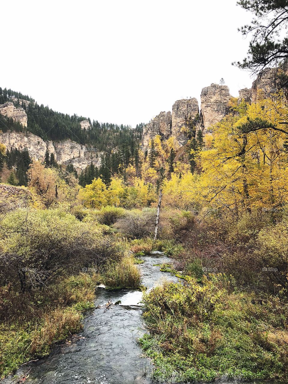 Spearfish Canyon