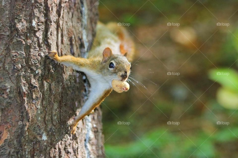 Don’t try to take my lunch!