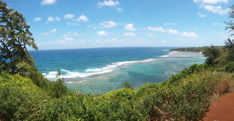 Hawaiian Oceanview