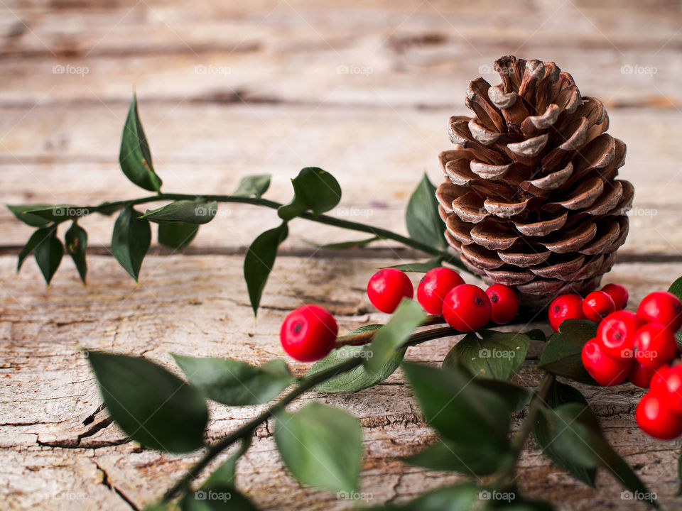 Rowan berries and pinecone