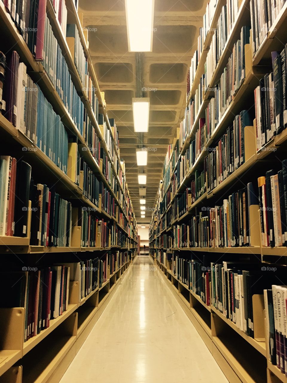 Library at usask