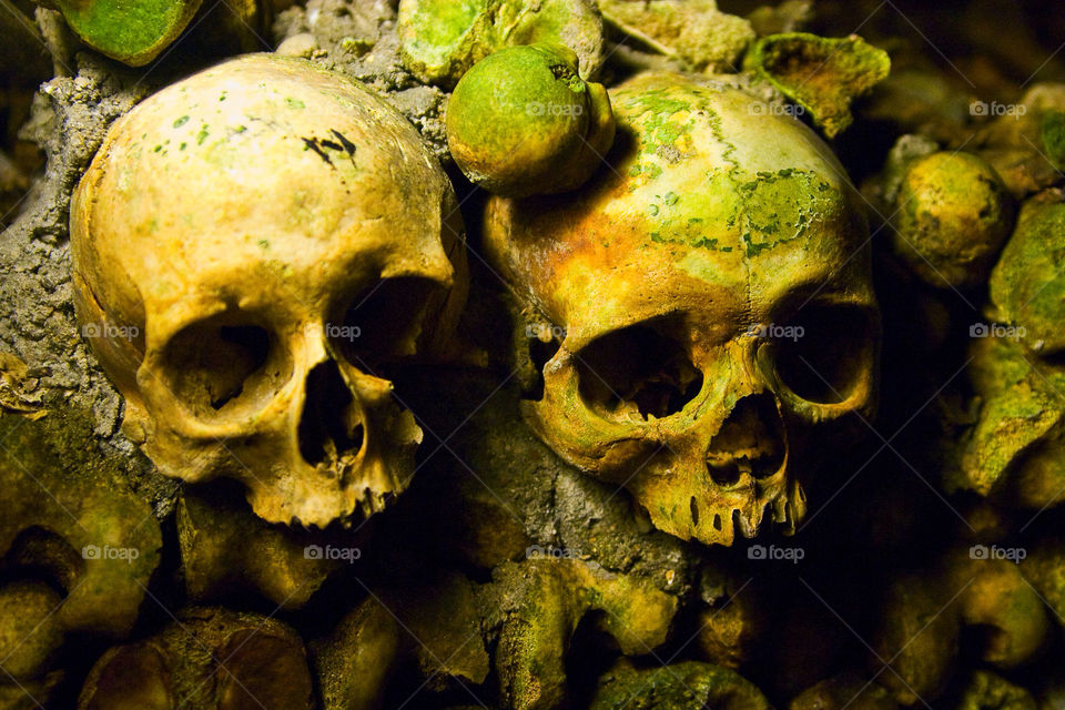 people paris dead skull by bdesign