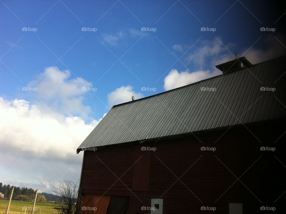 The barnyard. Fluffy white clouds and blue sky over barn