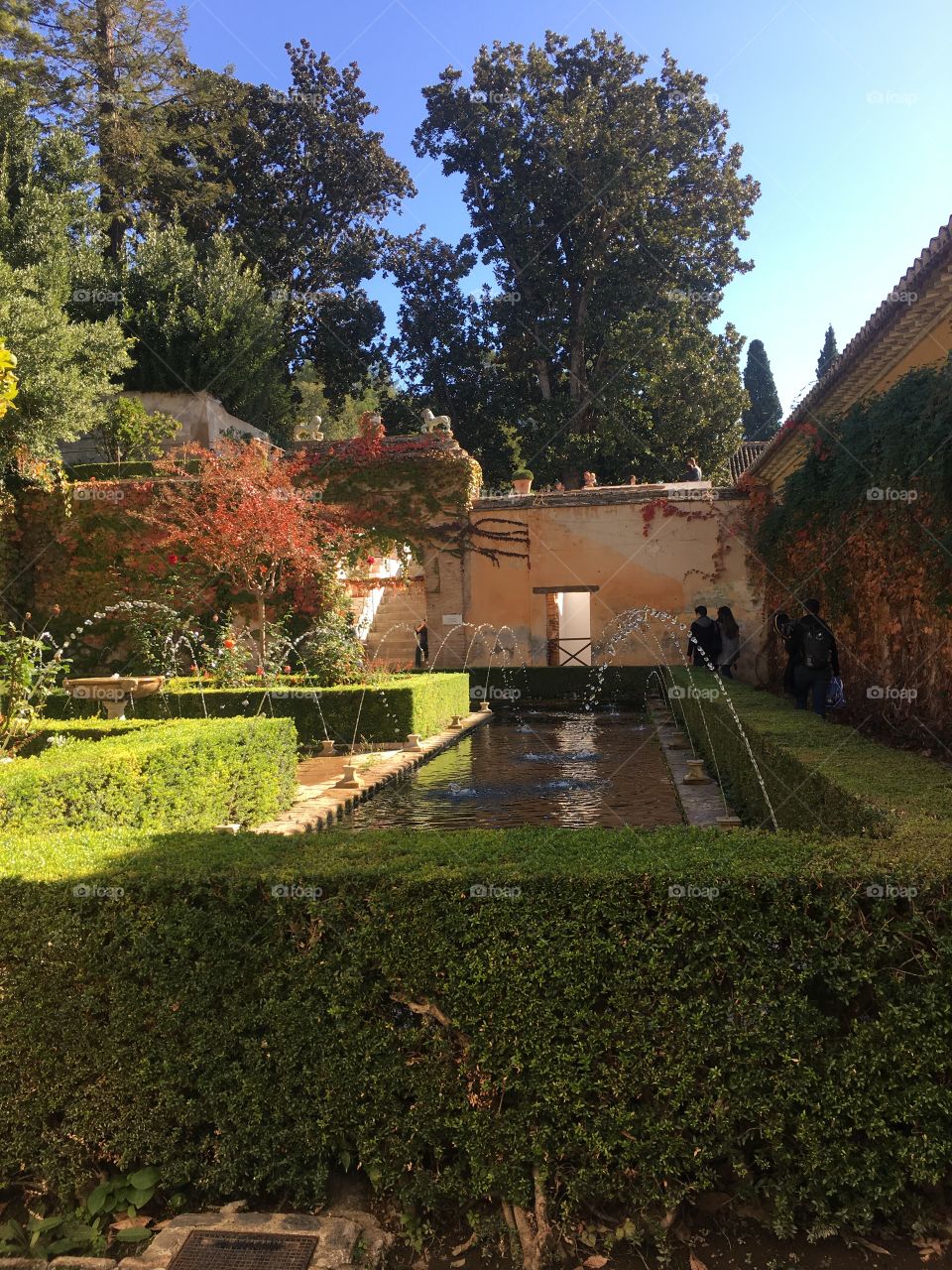 The Spanish garden in November 