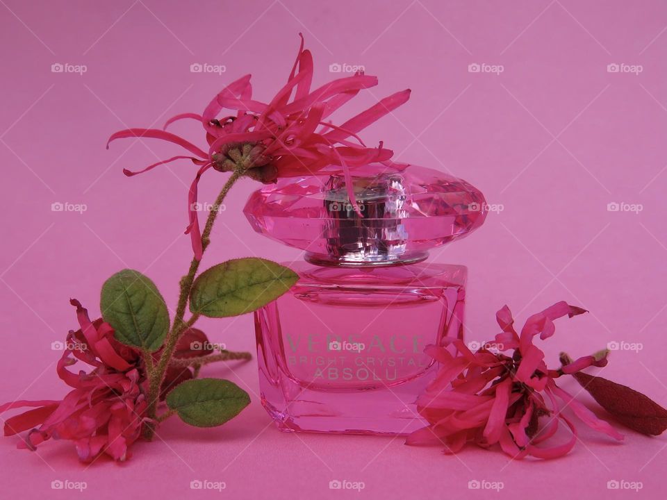 Versace Bright Crystal Absolu Surrounded by Pink Razzleberry Flowers