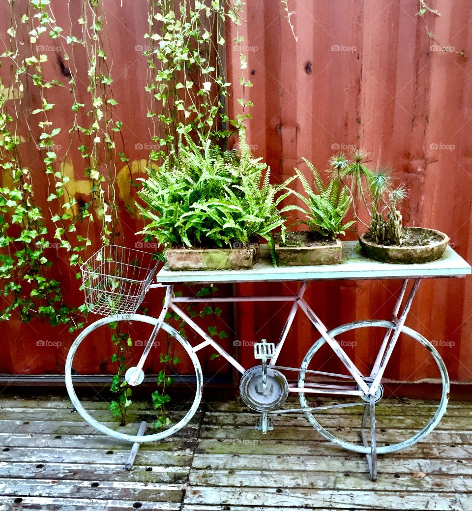 DIY By Cycle Gardening by rajonzx