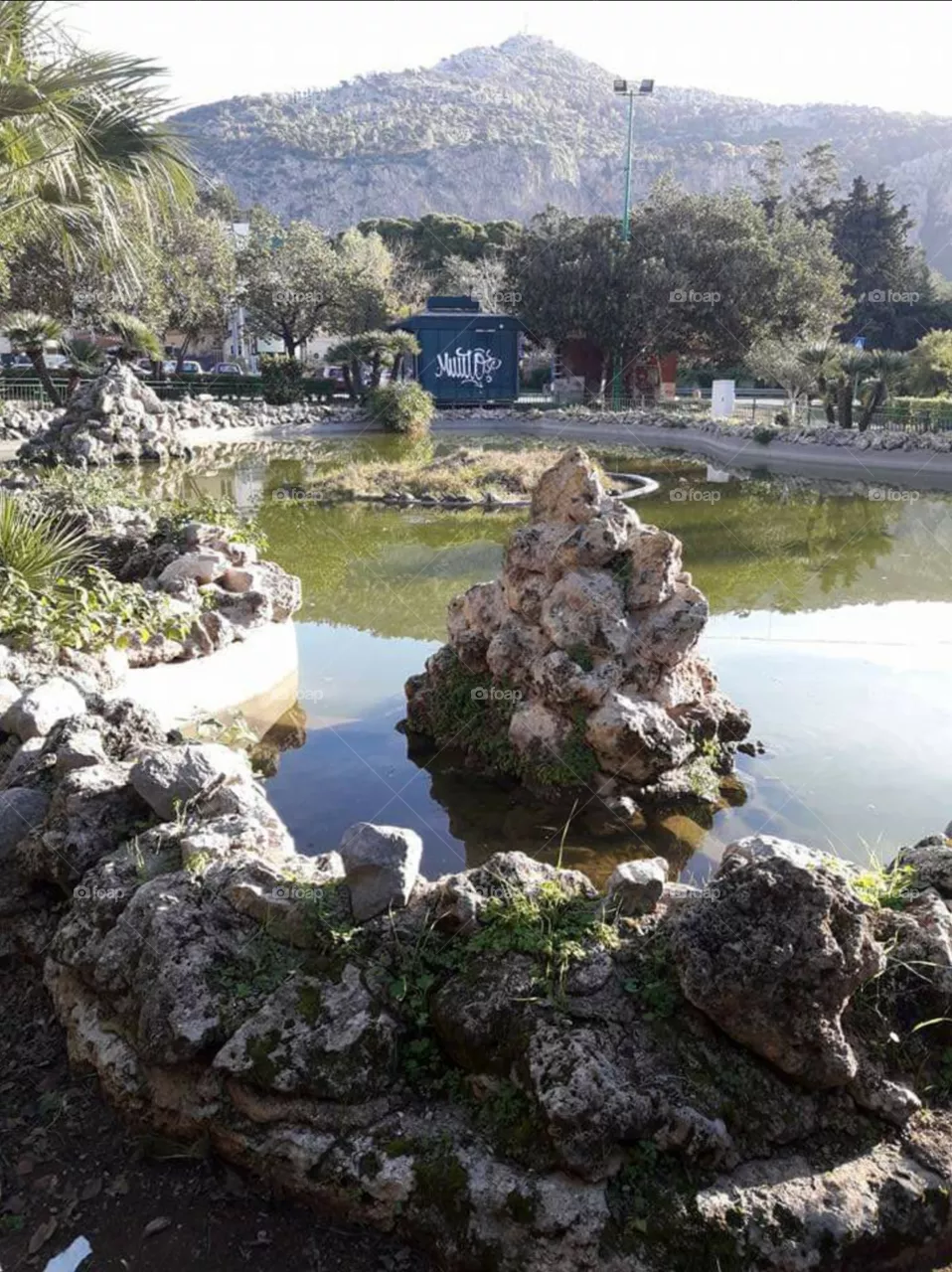 garden