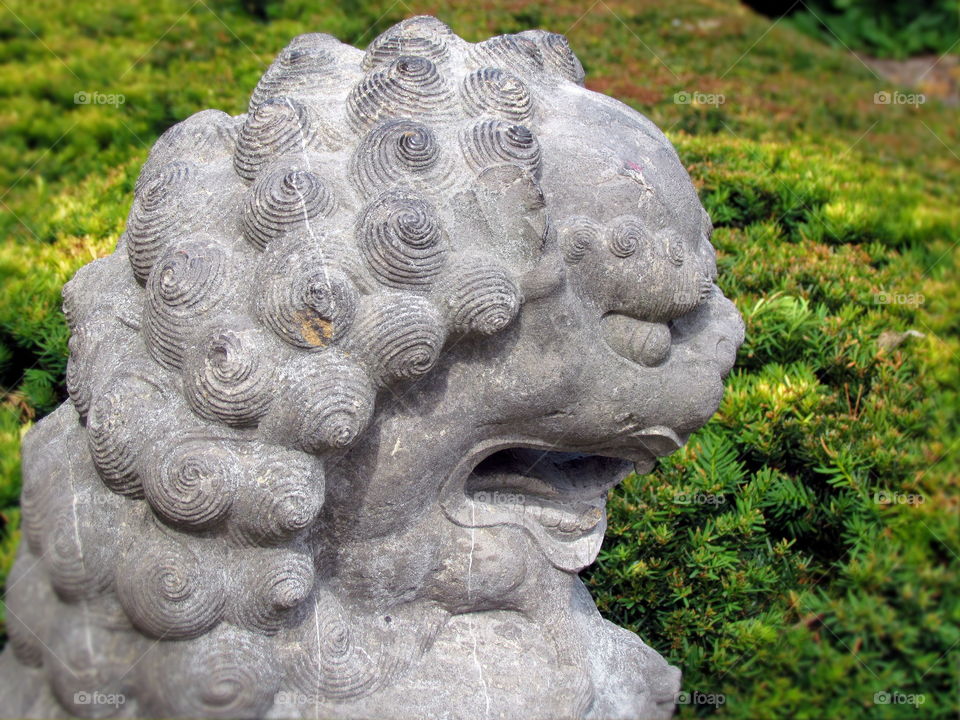 Stone lion