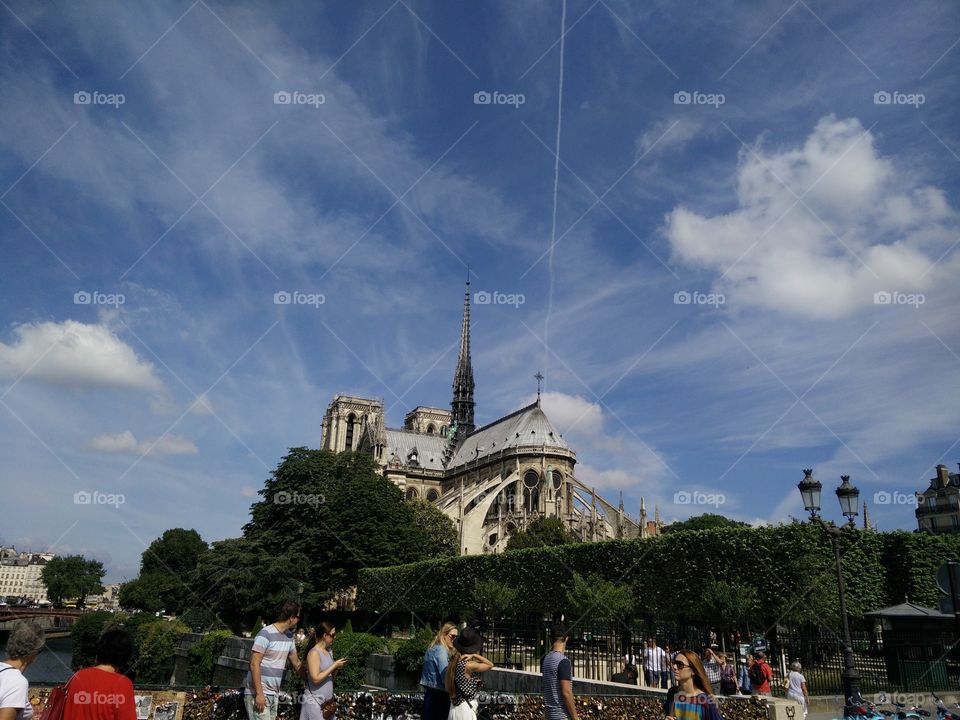 Notre Dame from Behind