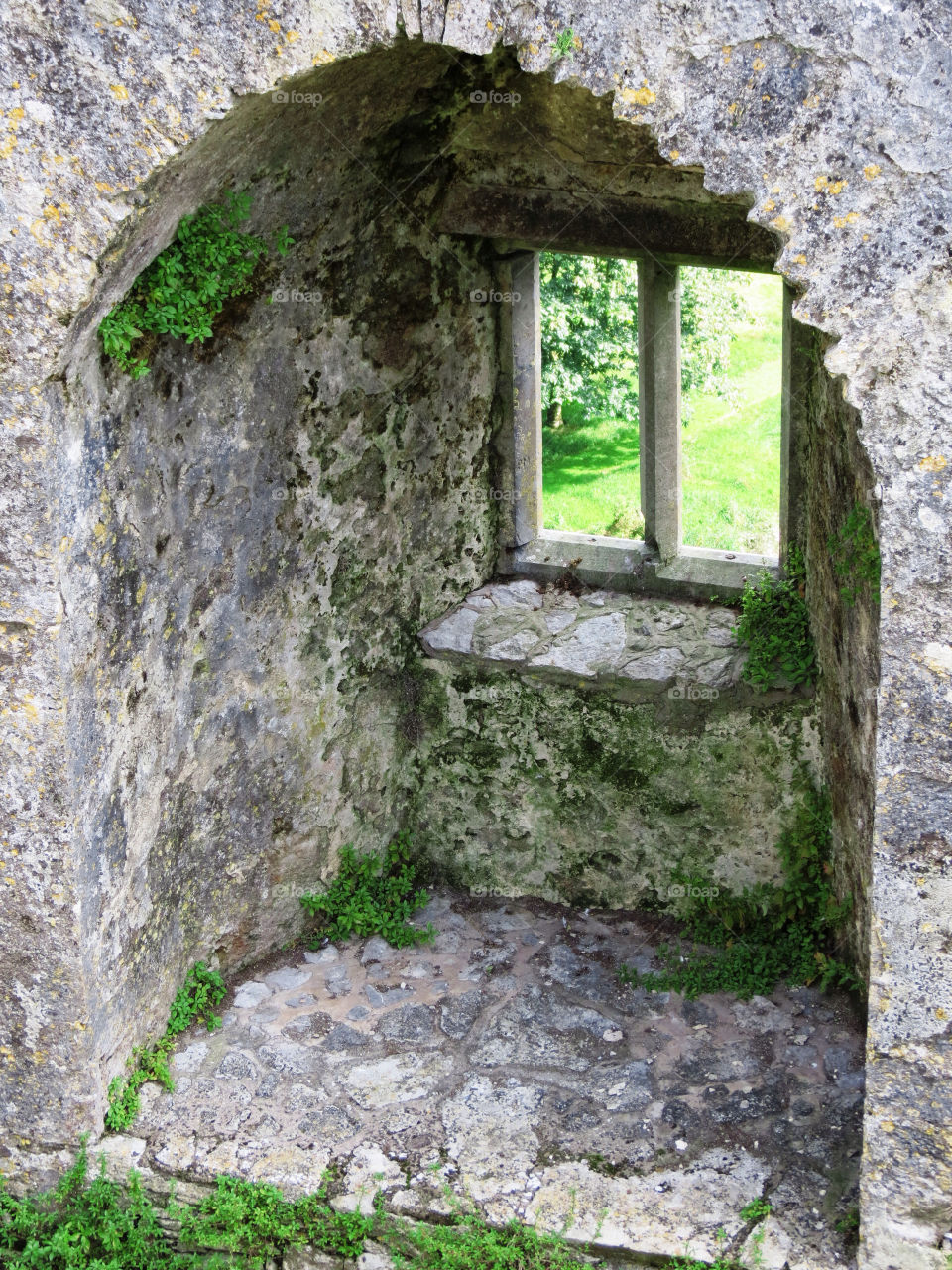 green ireland wall window by llotter