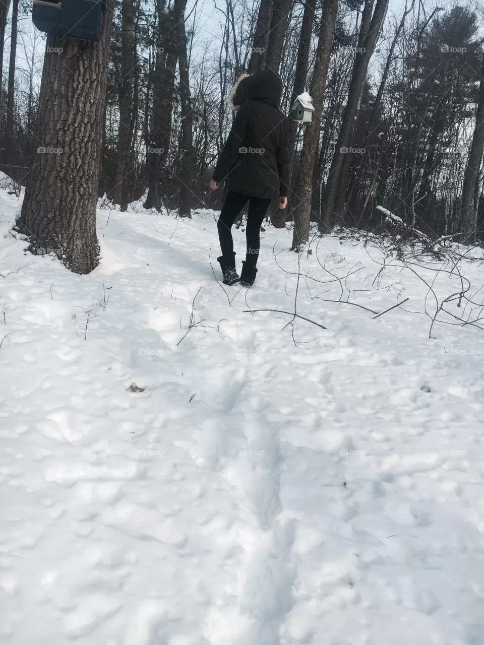 Snow 
