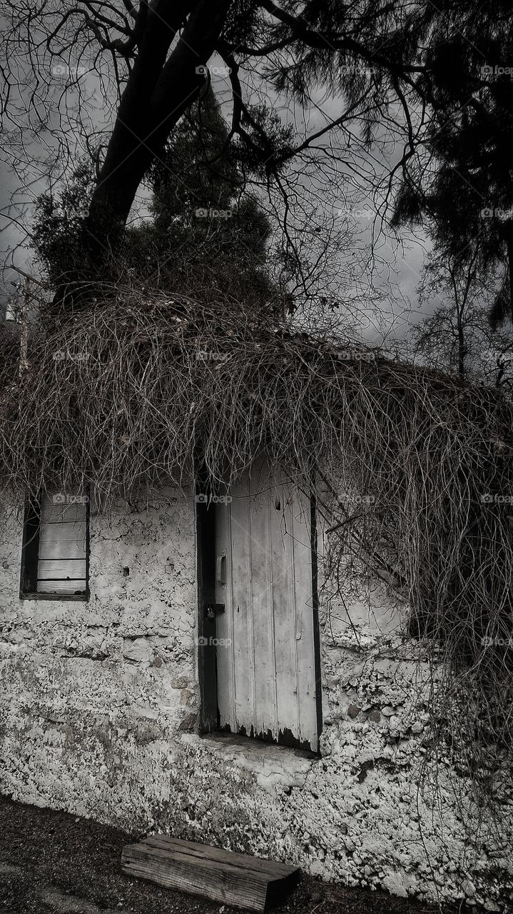 Oak Glenn California