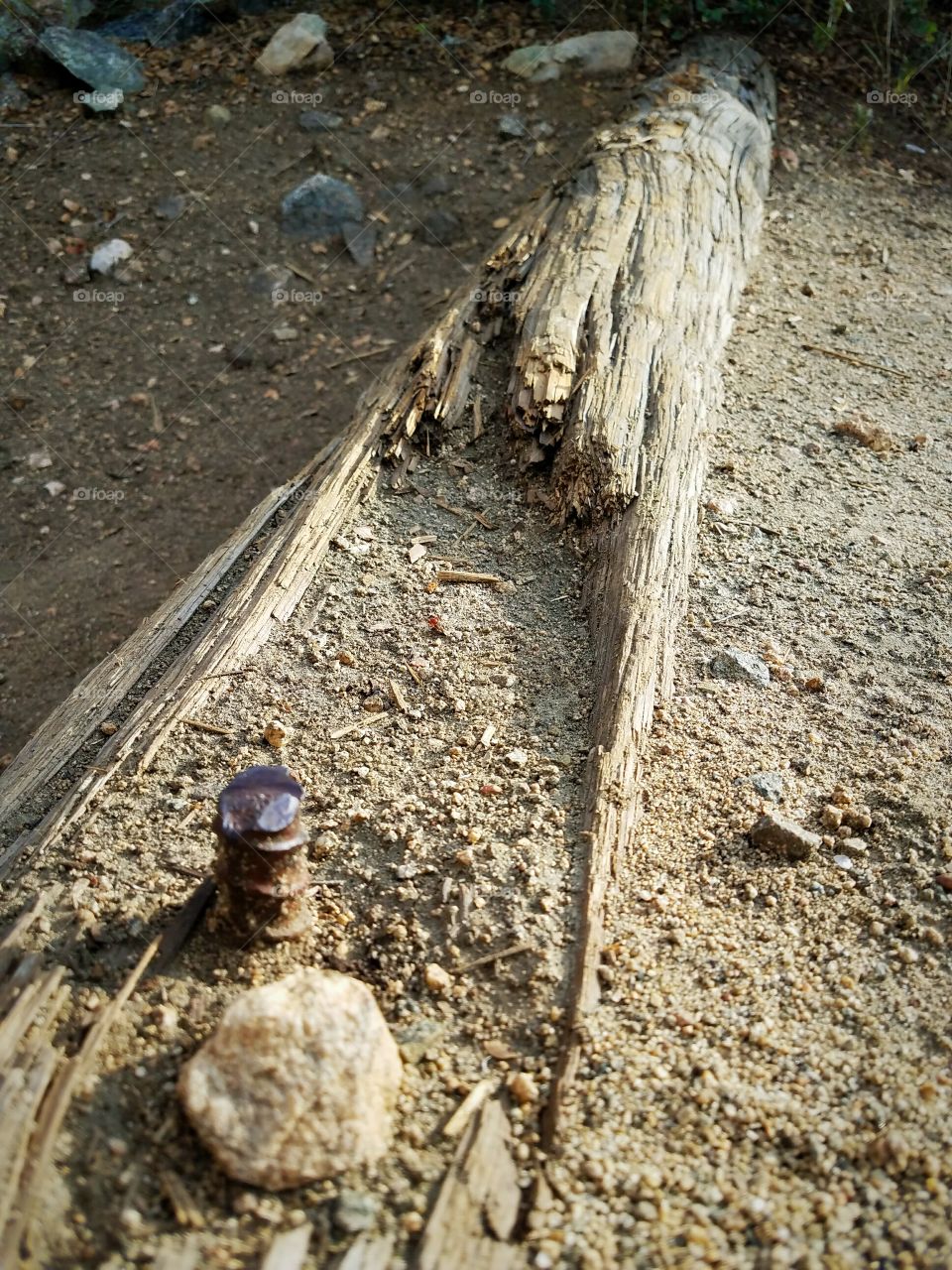 Log with rusted spike