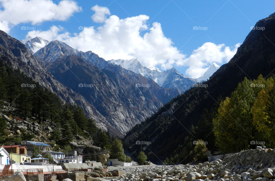 Gangotri National Park