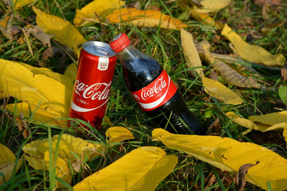 coca cola on a fall background, picnic, drinking coca cola outdoor