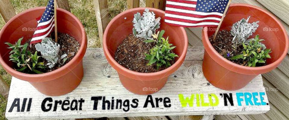 All great things are wild and free