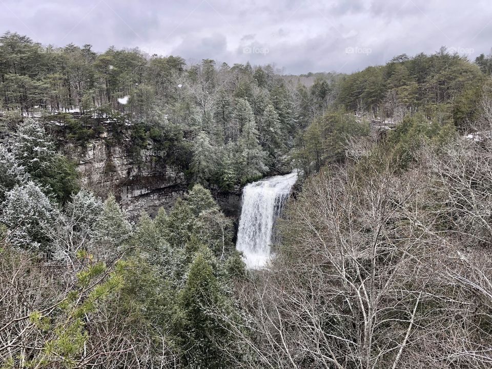 Foster Falls View 