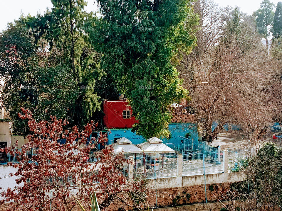 building between the nature