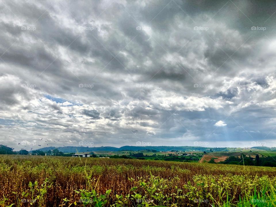 A zona rural de #Itupeva-SP, vista ao longe!
A “#fototerapia” vale a pena.
📸
#FOTOGRAFIAéNOSSOhobby
#entardecer #sky #céu #natureza #horizonte #fotografia #paisagem #landscapes #inspiração #mobgrafia #XôStress #nuvens #clouds