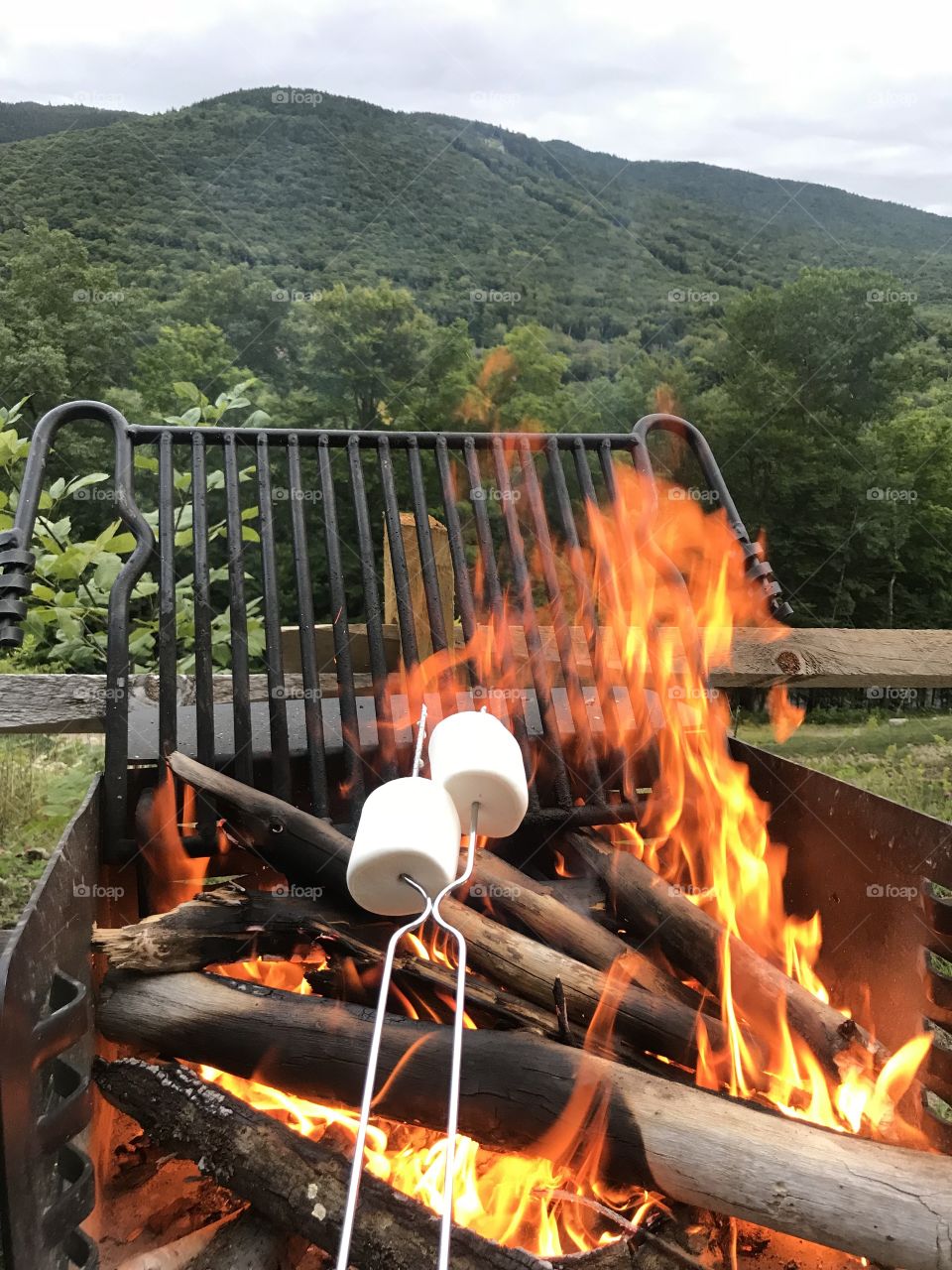 Roasting marshmallows over the fire. 
