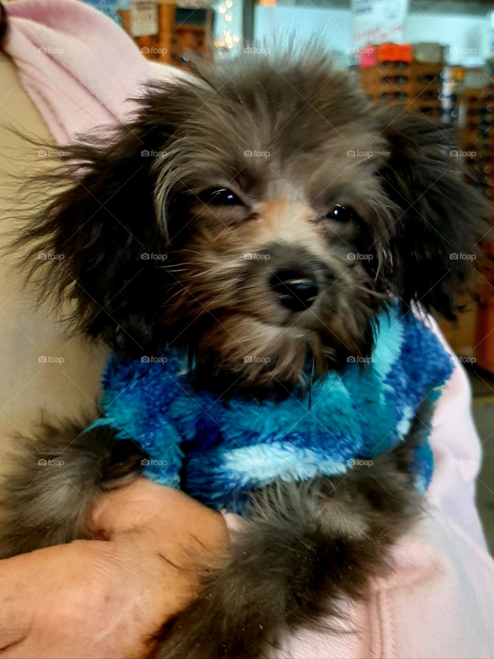 now he is warm and just wants to sleep.💤