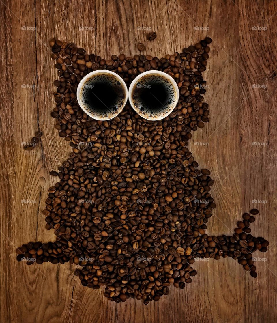 Coffee owl